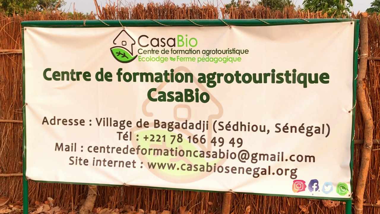 CasaBio: Projet de formation en apiculture tropicale moderne et transformation des produits apicoles