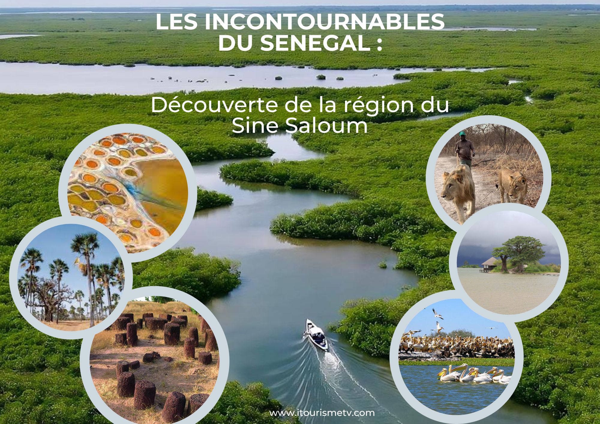 LES INCONTOURNABLES DU SENEGAL: Découverte de la région du Sine Saloum