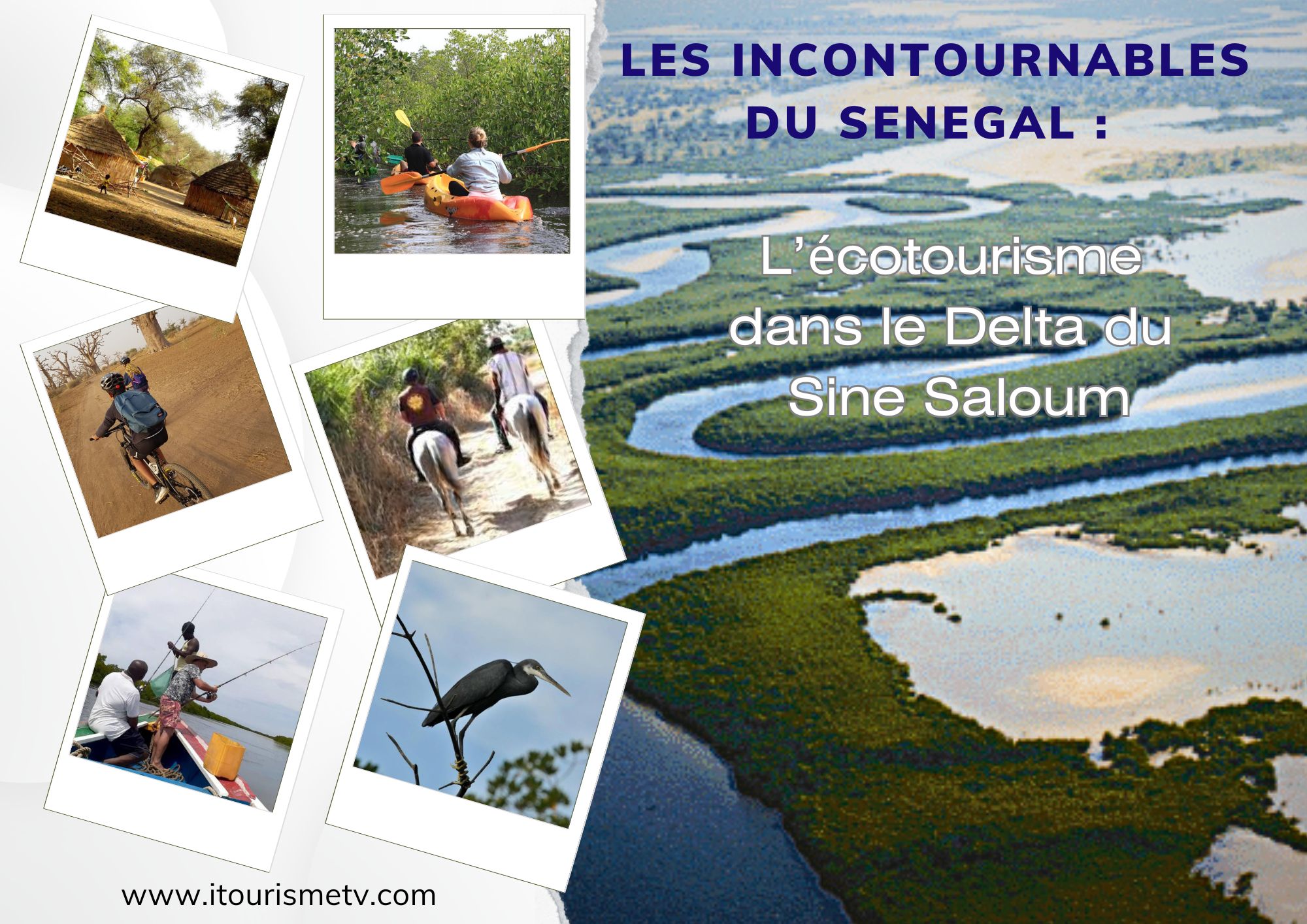 L’écotourisme dans le Delta du  Sine Saloum